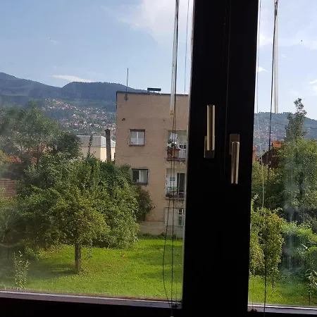 Rizva